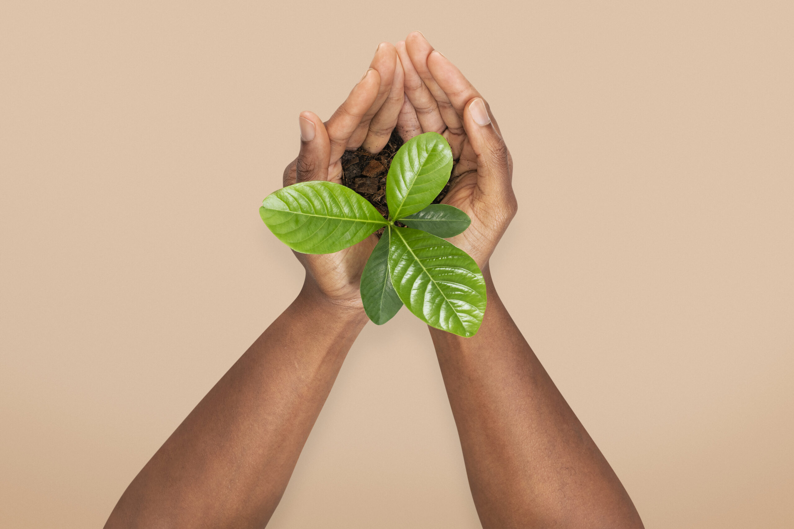 Freepik: Hands cupping plant save the environment campaign.