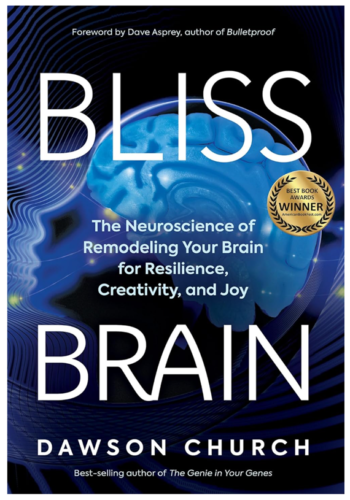 Brain Bliss cover