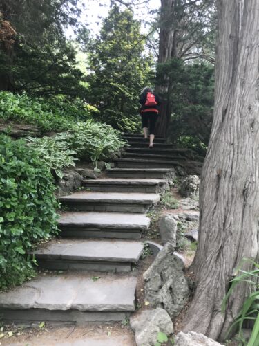 Ellen Lewinberg hiking in a local park walking up stairs