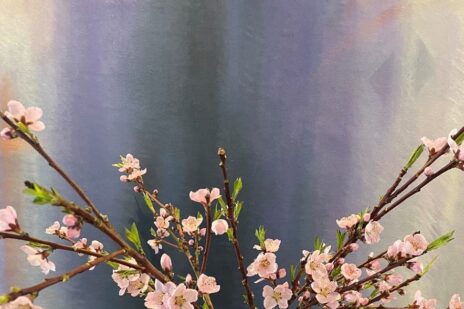 Photo of the peach blossoms I bought from the farmers market next door